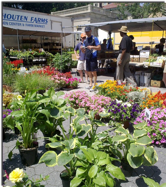 ניו יורק - שוק האיכרים Union Square Greenmarket צילום ציפי לוין