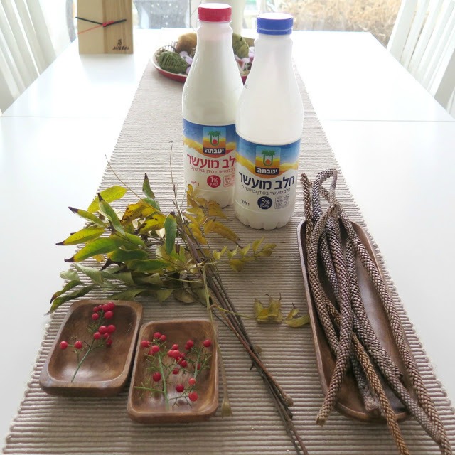 טו בשבט הגיע ואני יצרתי עם בקבוקי חלב (צילום: ציפי לוין)