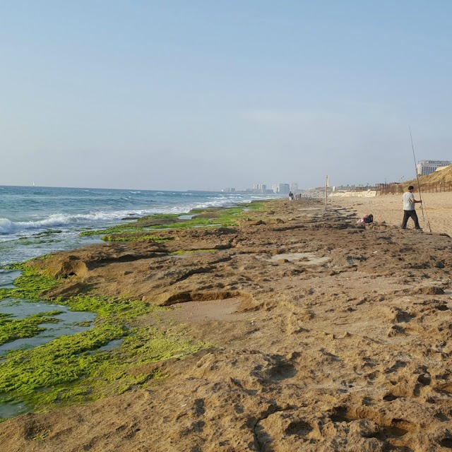 חוף הצוק בתל אביב (צילום ציפי לוין)